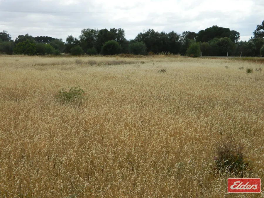49 De Mannu Road, Munno Para Downs, SA, 5115 - Image 7