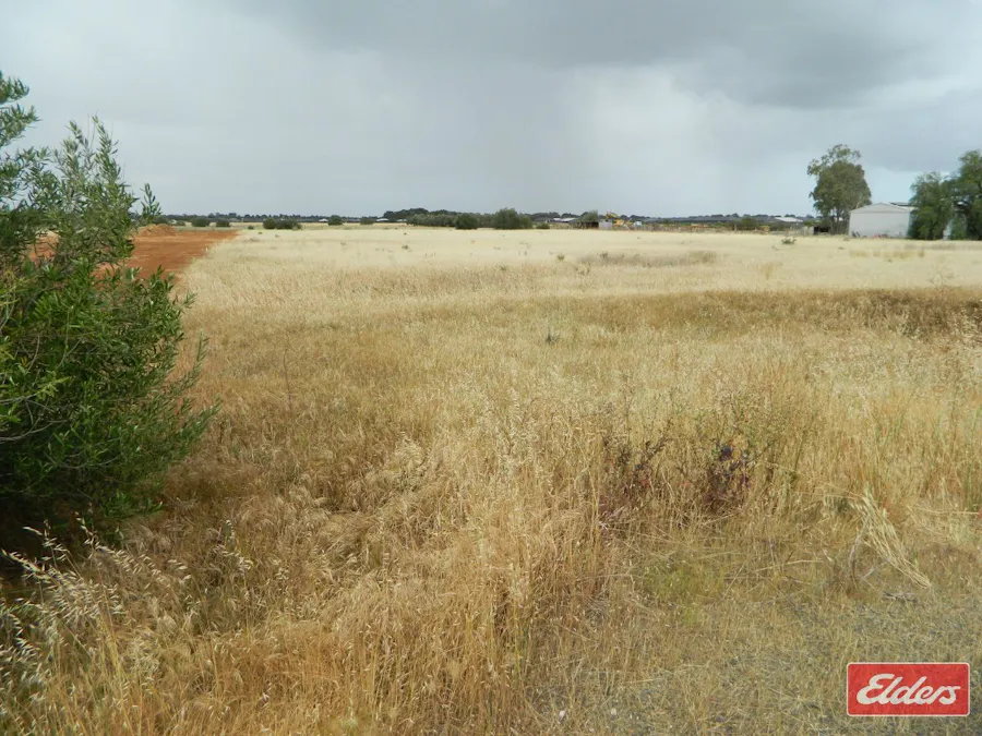 49 De Mannu Road, Munno Para Downs, SA, 5115 - Image 6
