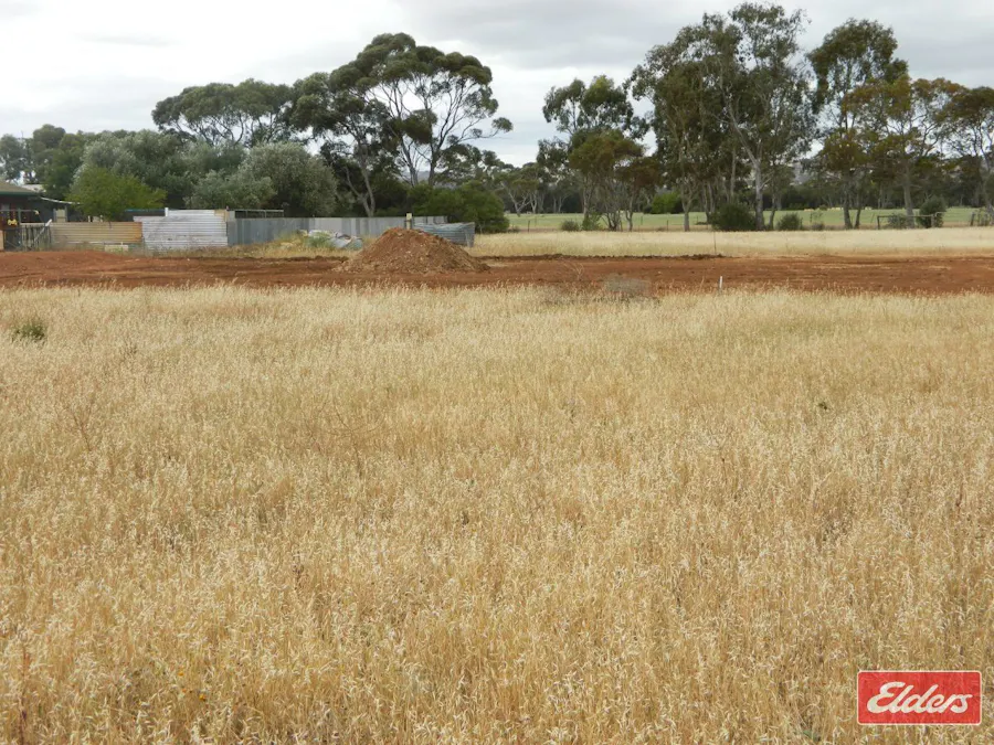49 De Mannu Road, Munno Para Downs, SA, 5115 - Image 10