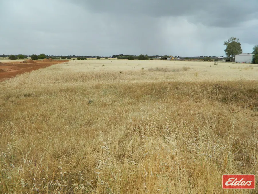 49 De Mannu Road, Munno Para Downs, SA, 5115 - Image 13