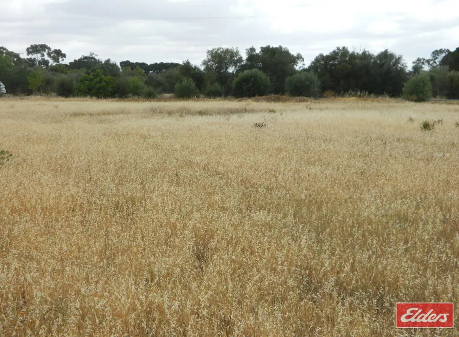 49 De Mannu Road, Munno Para Downs, SA, 5115 - Image 11