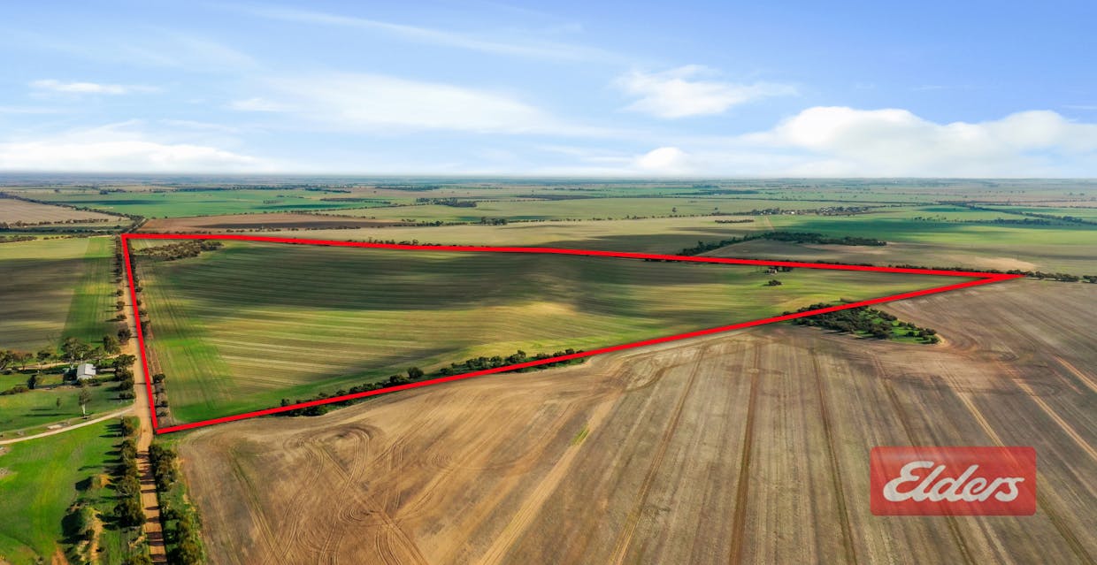 789/Sec 789 Fidge Road, Hamley Bridge, SA, 5401 - Image 1