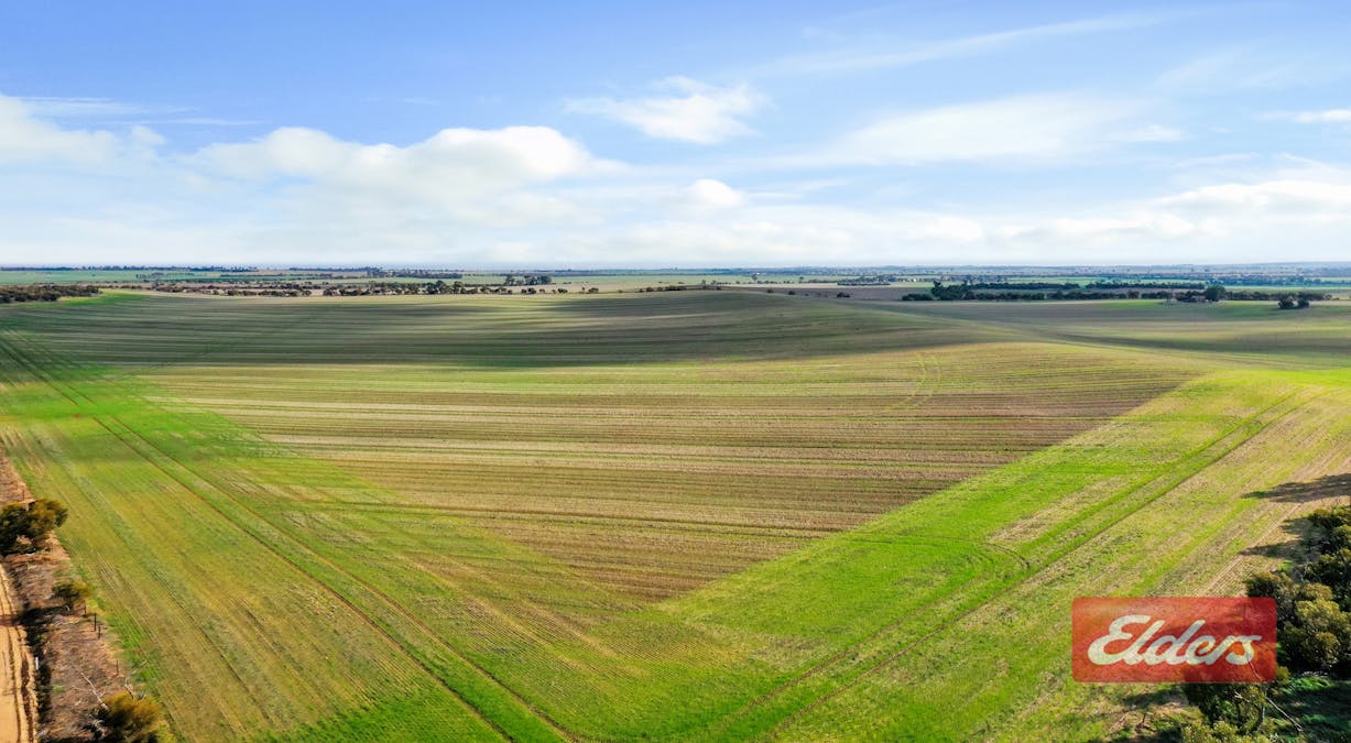 789/Sec 789 Fidge Road, Hamley Bridge, SA, 5401 - Image 7