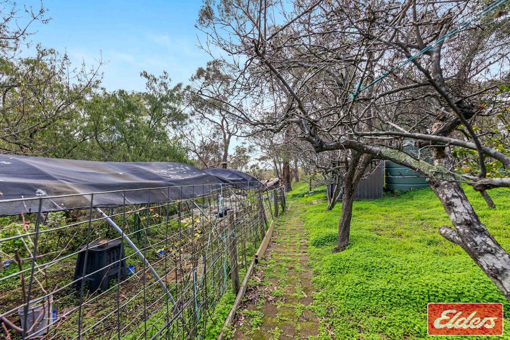 229 Warren Road, Williamstown, SA, 5351 - Image 27
