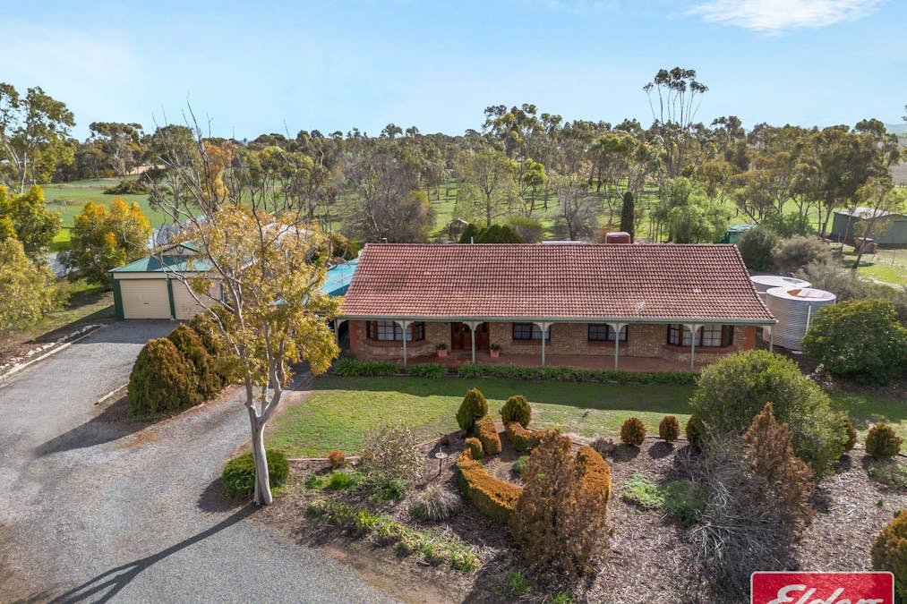 67 Borrow Street, Freeling, SA, 5372 - Image 3