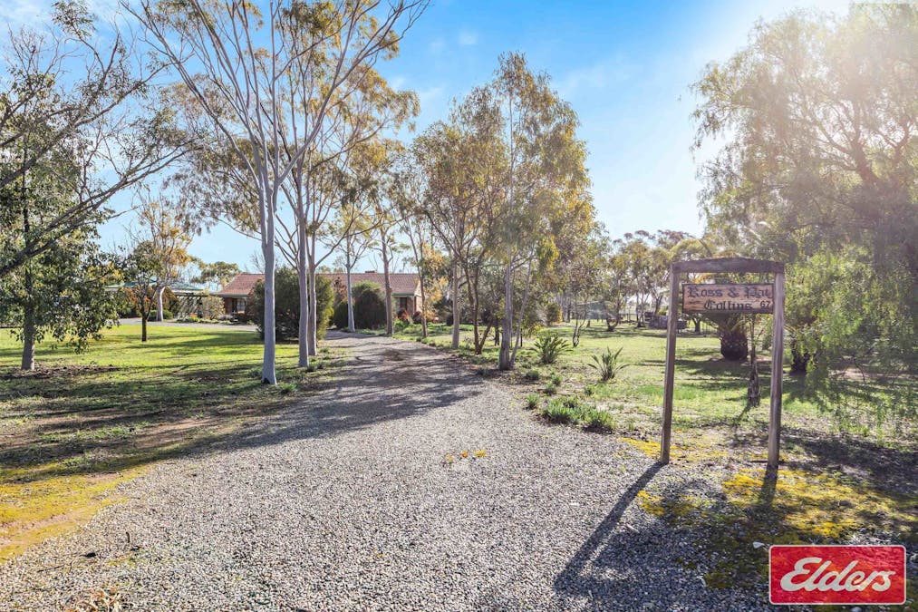 67 Borrow Street, Freeling, SA, 5372 - Image 2
