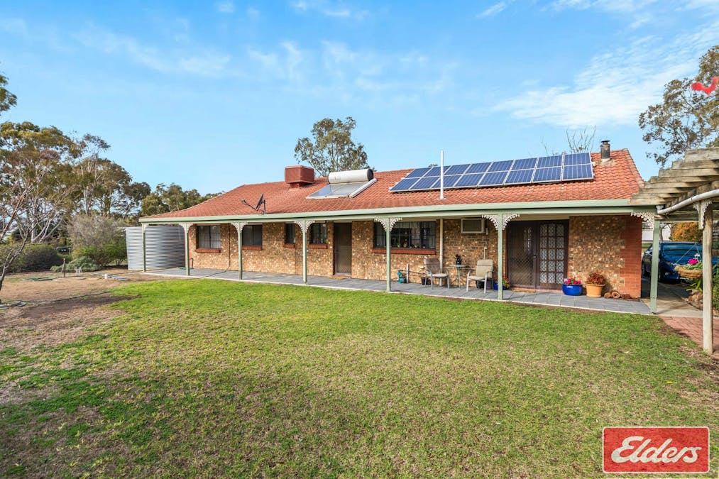 67 Borrow Street, Freeling, SA, 5372 - Image 24