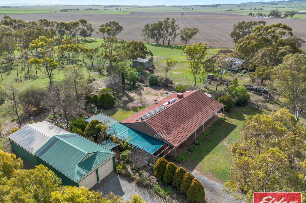 67 Borrow Street, Freeling, SA, 5372 - Image 31
