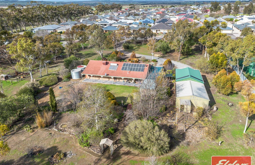 67 Borrow Street, Freeling, SA, 5372 - Image 33