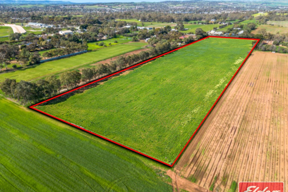 438/Lot 438 Two Wells Road, Buchfelde, SA, 5118 - Image 3