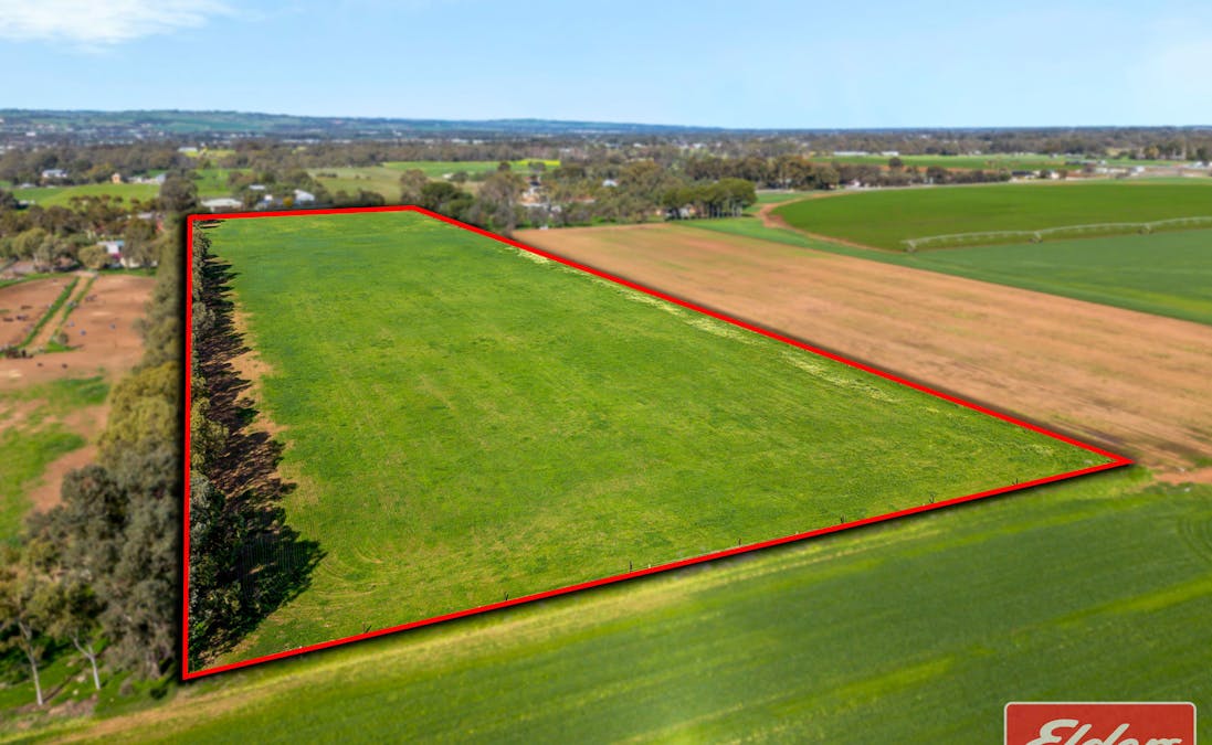 438/Lot 438 Two Wells Road, Buchfelde, SA, 5118 - Image 4