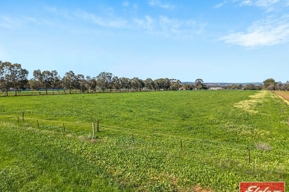 438/Lot 438 Two Wells Road, Buchfelde, SA, 5118 - Image 6