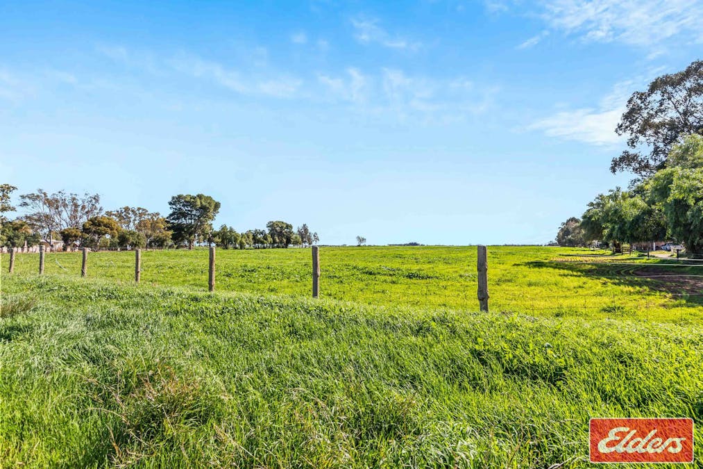 438/Lot 438 Two Wells Road, Buchfelde, SA, 5118 - Image 7