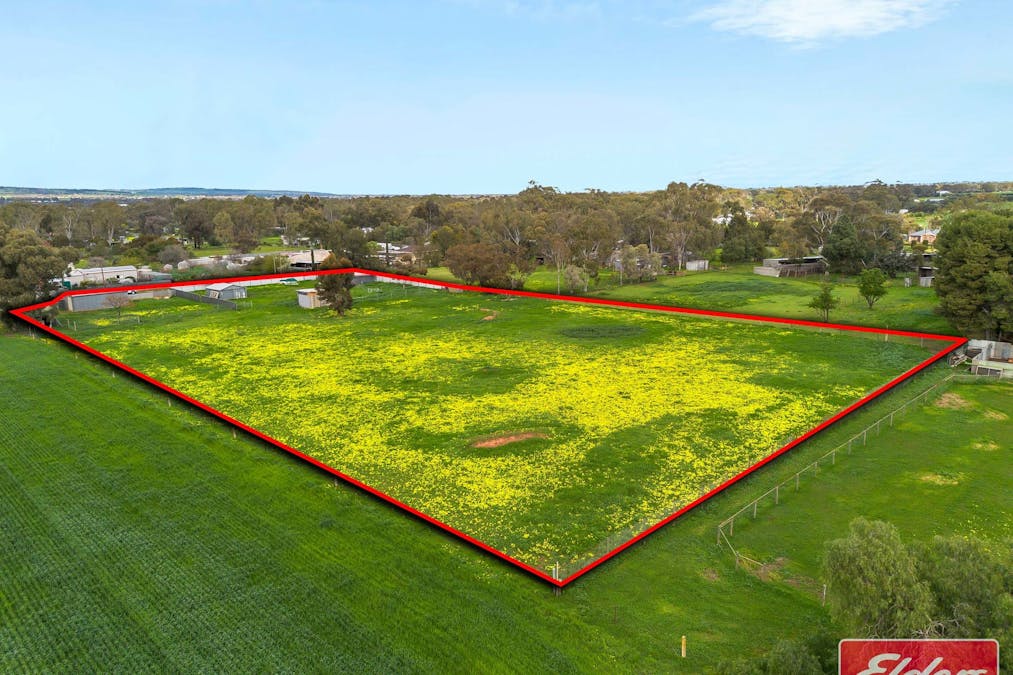 17 Dixon Road, Buchfelde, SA, 5118 - Image 13