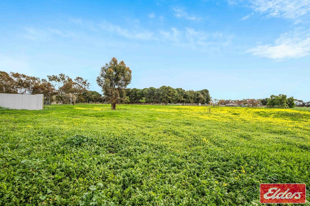 17 Dixon Road, Buchfelde, SA, 5118 - Image 8