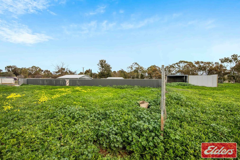 17 Dixon Road, Buchfelde, SA, 5118 - Image 11