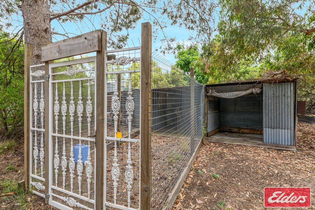 24 Filsell Road, Lyndoch, SA, 5351 - Image 32