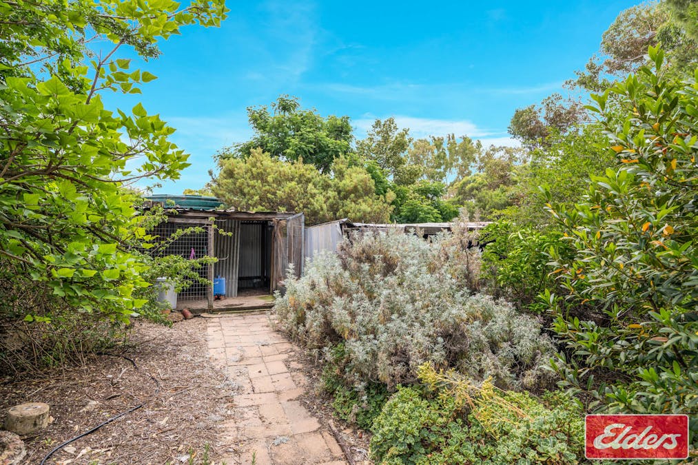 24 Filsell Road, Lyndoch, SA, 5351 - Image 33