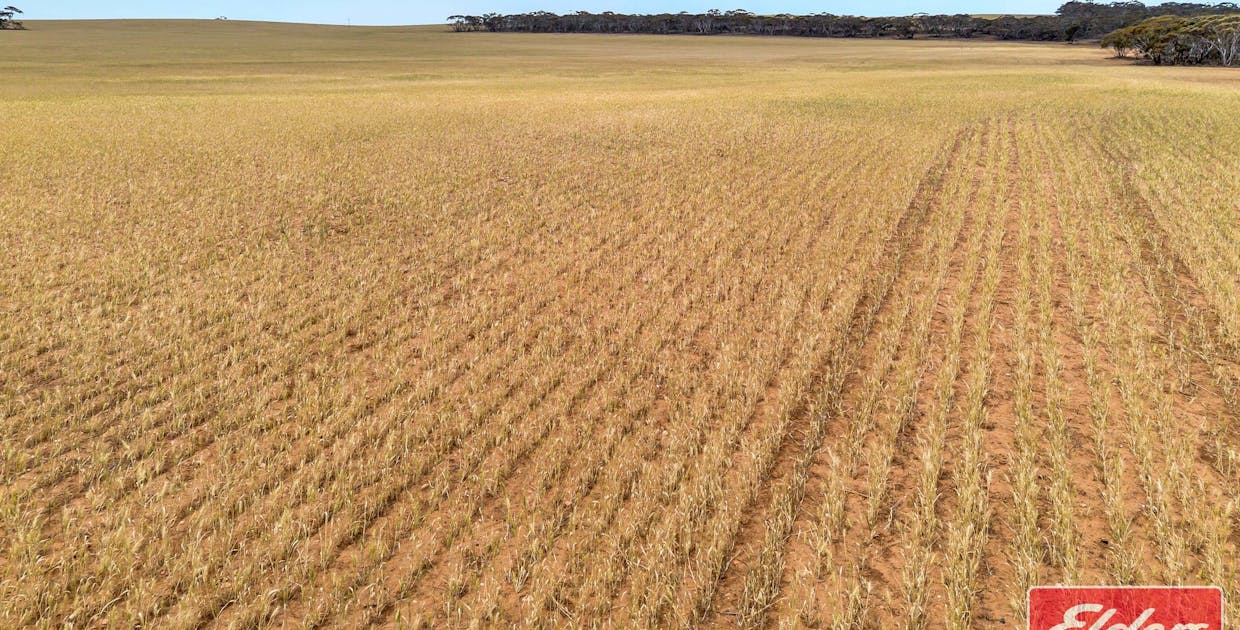 106 Railway Terrace, Sutherlands, SA, 5374 - Image 20