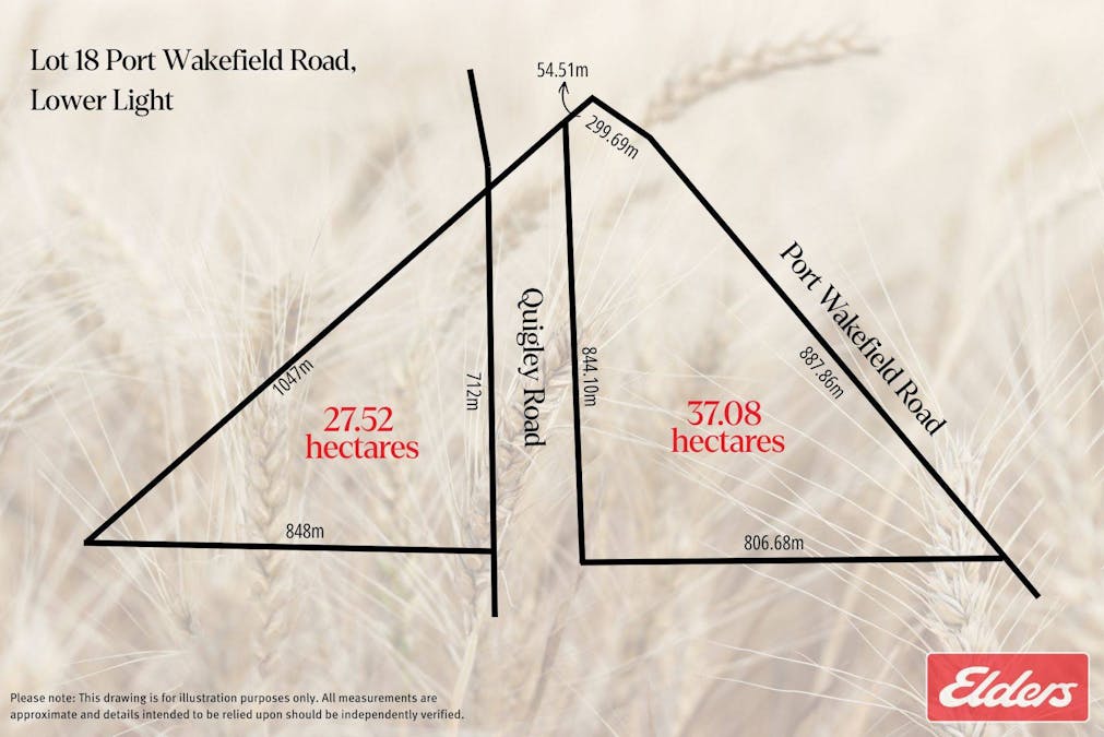 Lt18/Lt410 Port Wakefield & Quigley Road, Lower Light, SA, 5501 - Floorplan 1