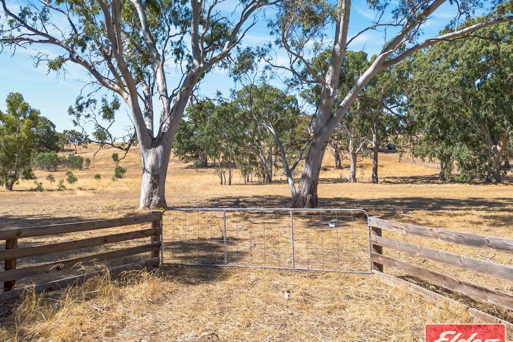 20/Lot 20 Woodlands Road, Cockatoo Valley, SA, 5351 - Image 5