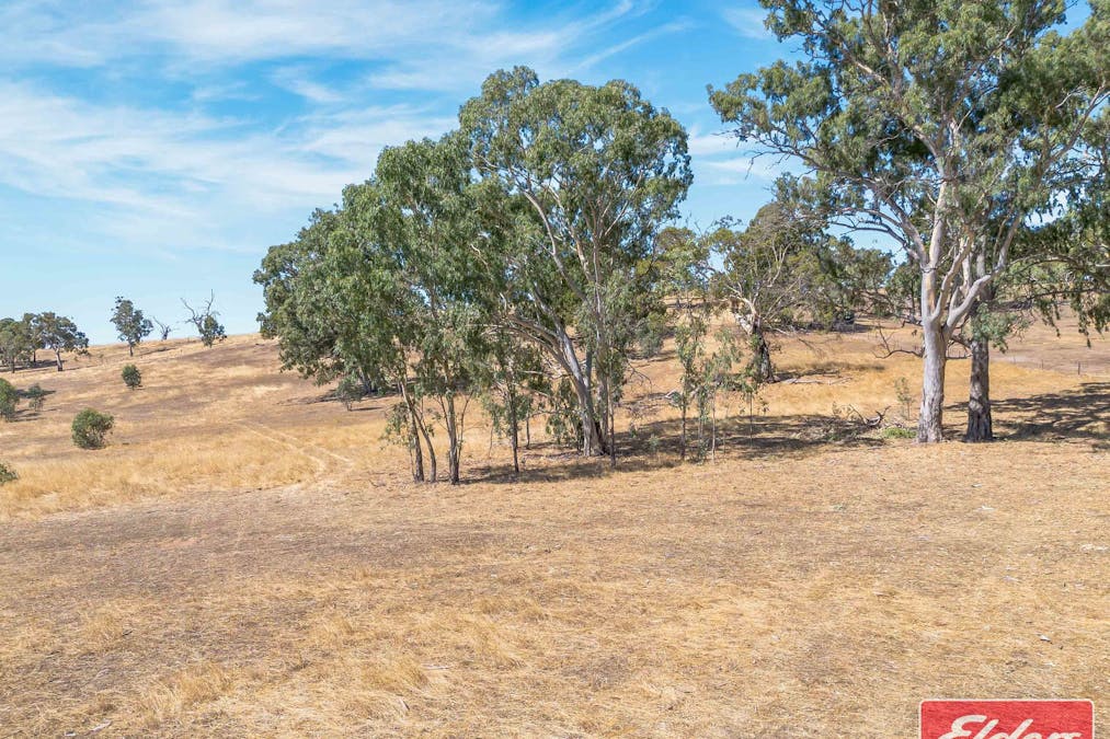 20/Lot 20 Woodlands Road, Cockatoo Valley, SA, 5351 - Image 7