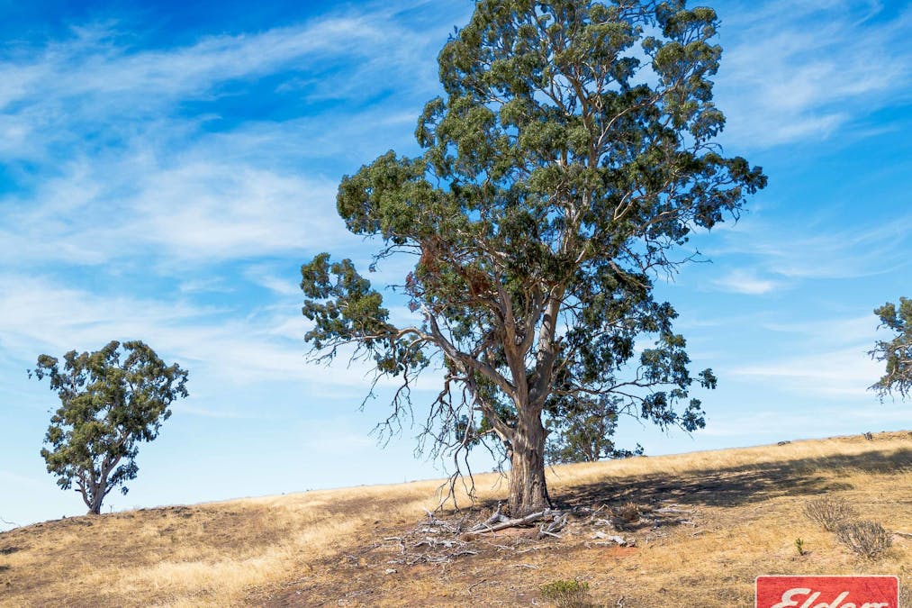 20/Lot 20 Woodlands Road, Cockatoo Valley, SA, 5351 - Image 9