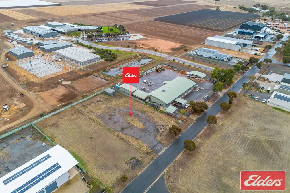 24 Leitch Road, Roseworthy, SA, 5371 - Image 3