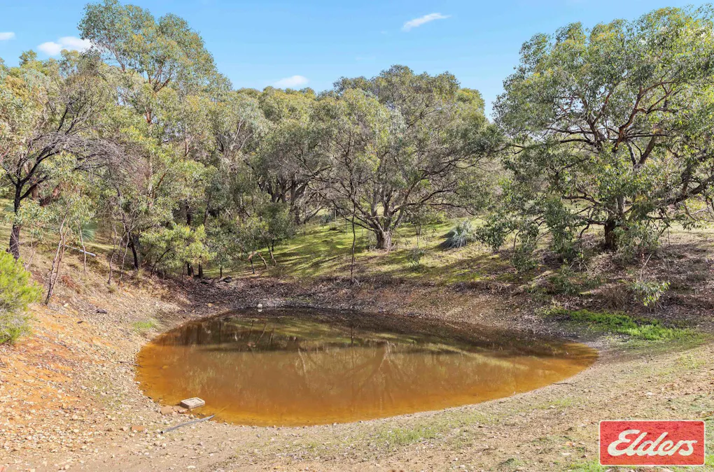 10 Walter Randall Glen, Pewsey Vale, SA, 5351 - Image 34