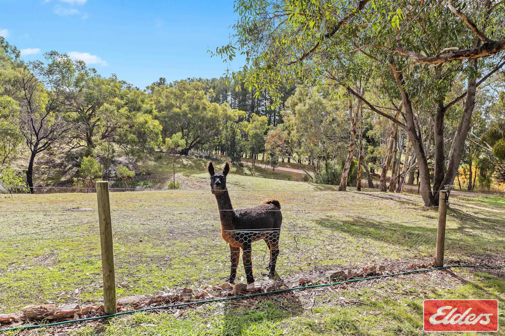 10 Walter Randall Glen, Pewsey Vale, SA, 5351 - Image 33