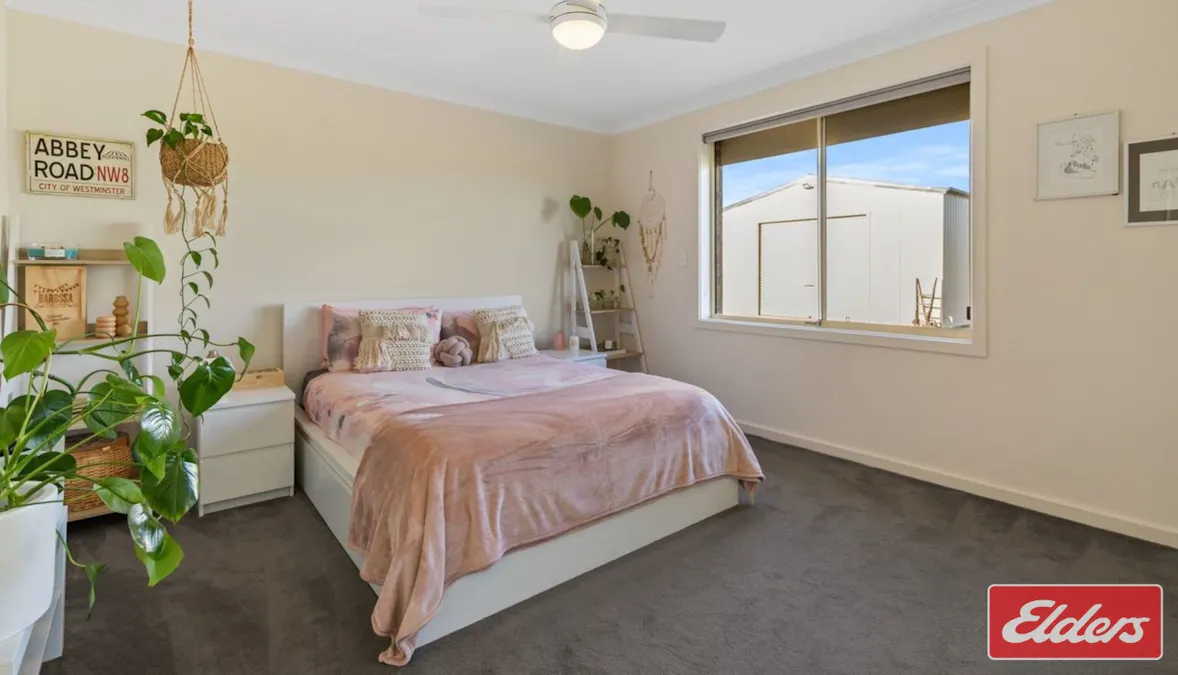 177 Krieg Road, Seppeltsfield, SA, 5355 - Image 20