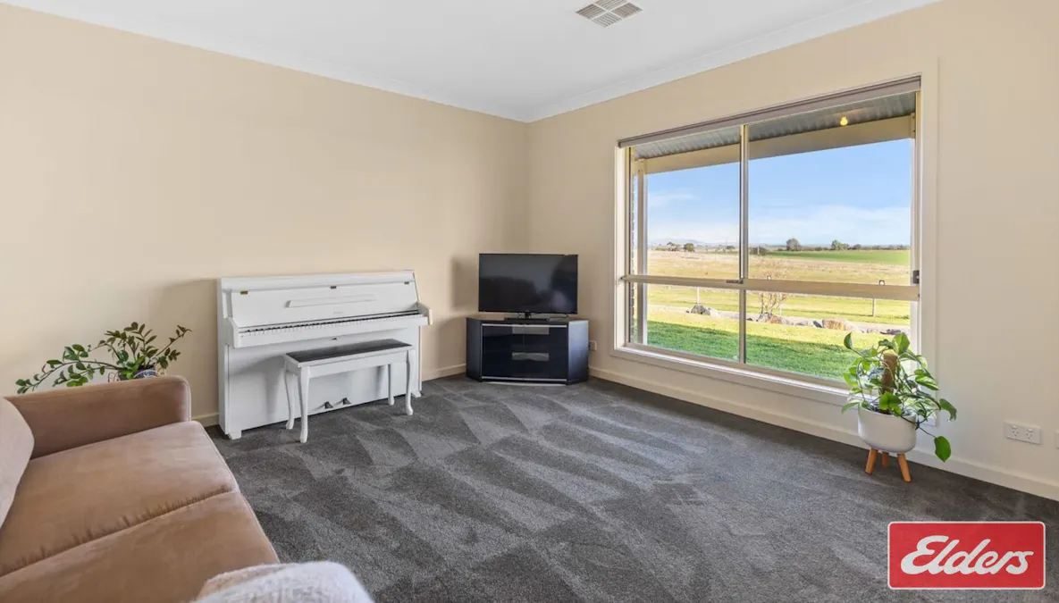 177 Krieg Road, Seppeltsfield, SA, 5355 - Image 6