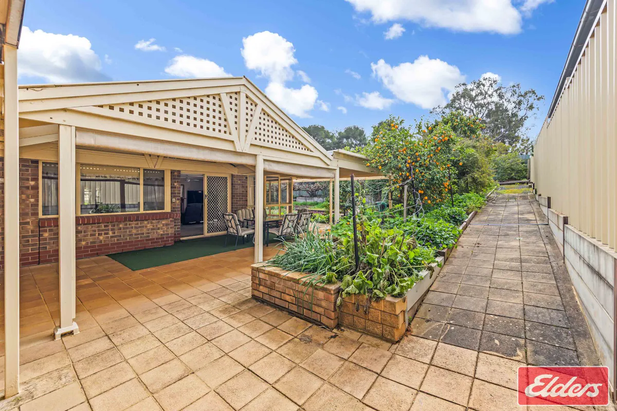 11 Kemp Street — photo 25 of 30