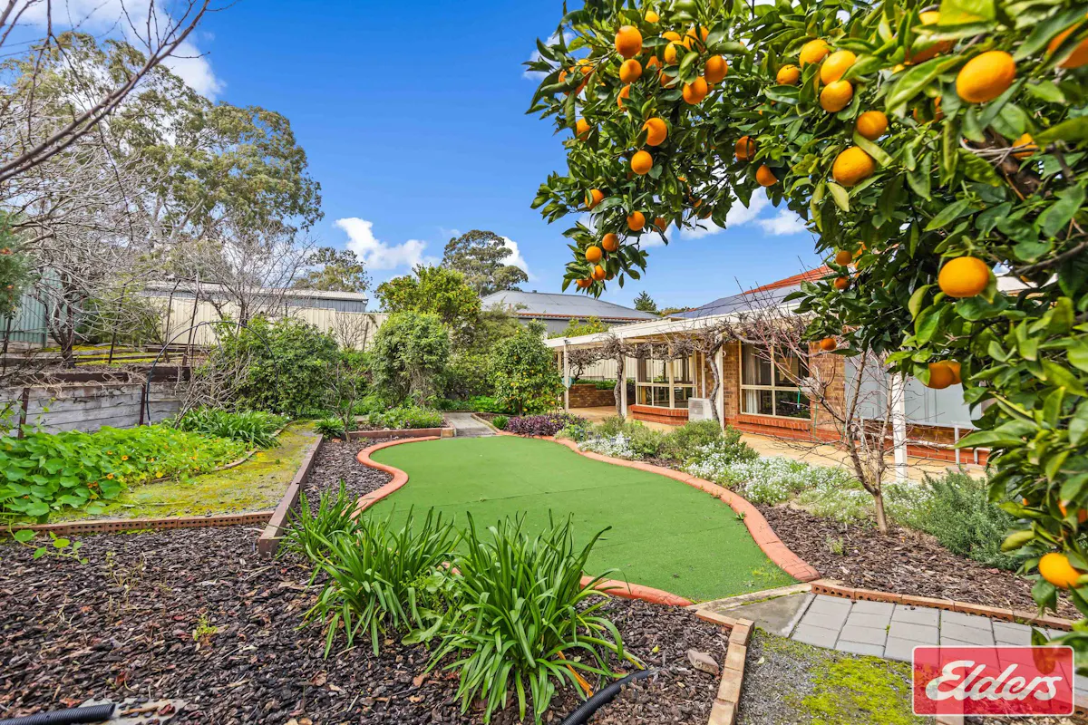 11 Kemp Street — photo 29 of 30