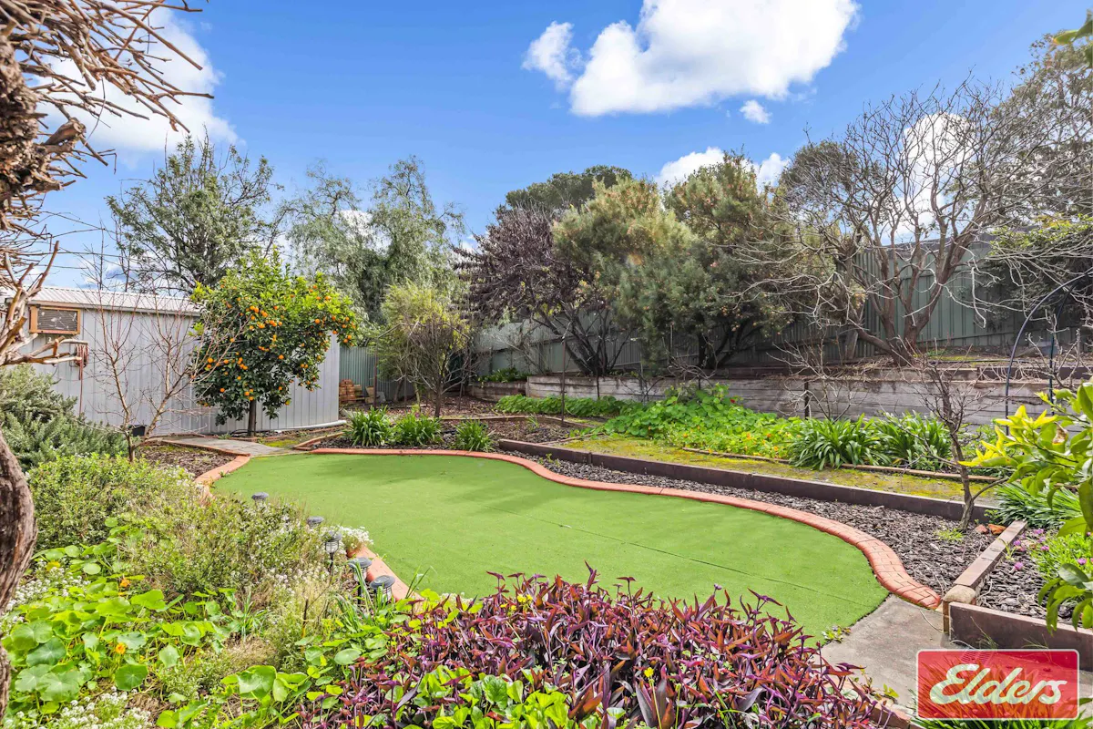 11 Kemp Street — photo 30 of 30