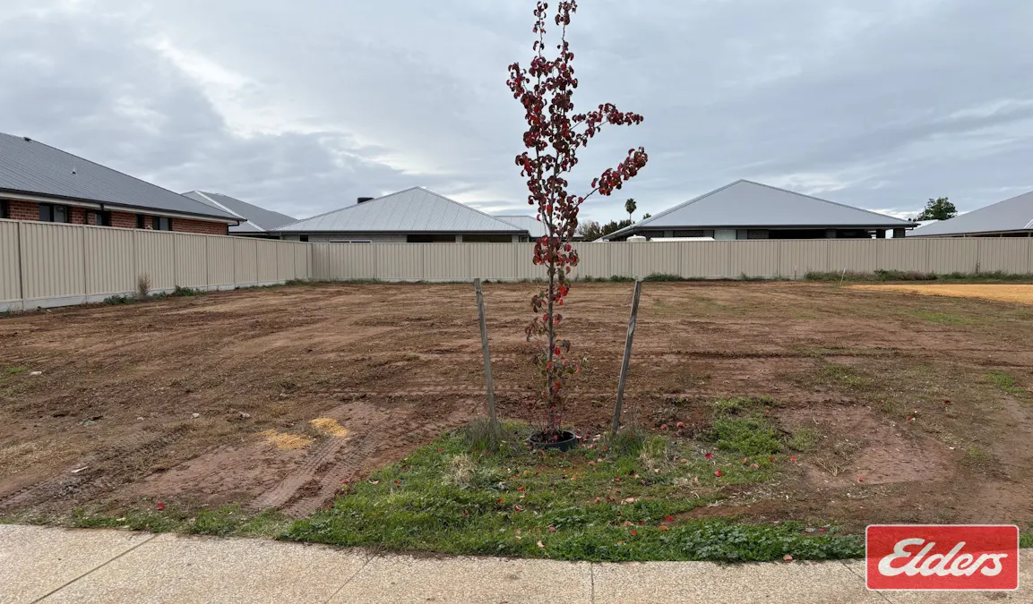 11 Moorpark Street, Nuriootpa, SA, 5355 - Image 5
