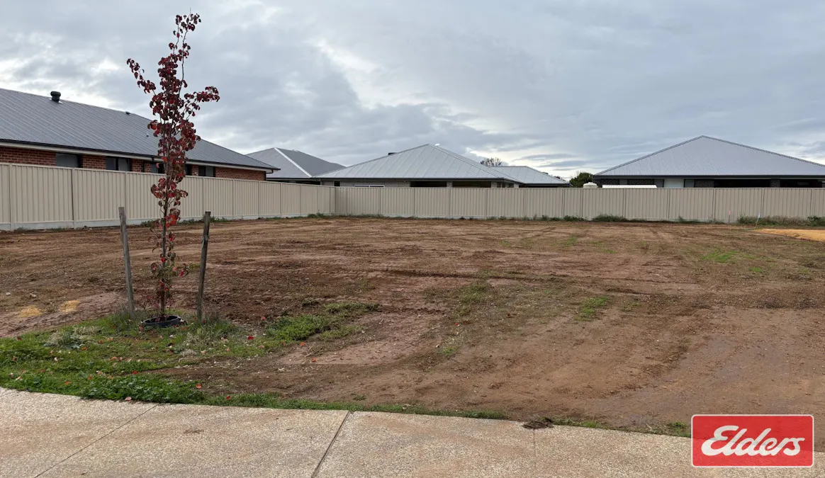 11 Moorpark Street, Nuriootpa, SA, 5355 - Image 3