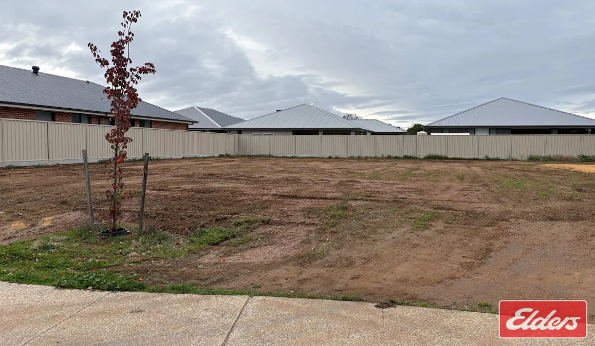 11 Moorpark Street, Nuriootpa, SA, 5355 - Image 4