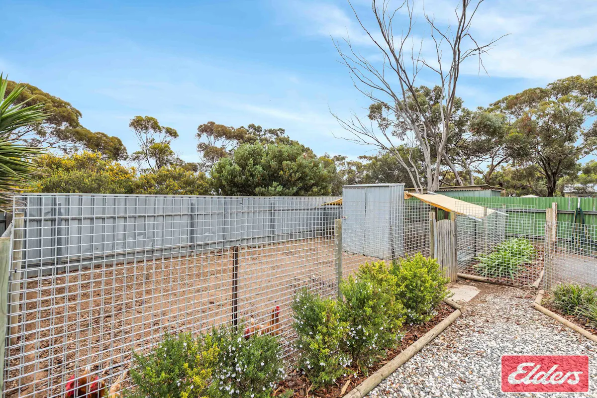 41 Aerodrome Road — photo 30 of 30