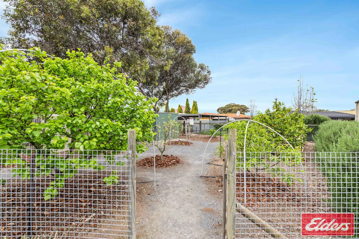 41 Aerodrome Road — photo 27 of 30