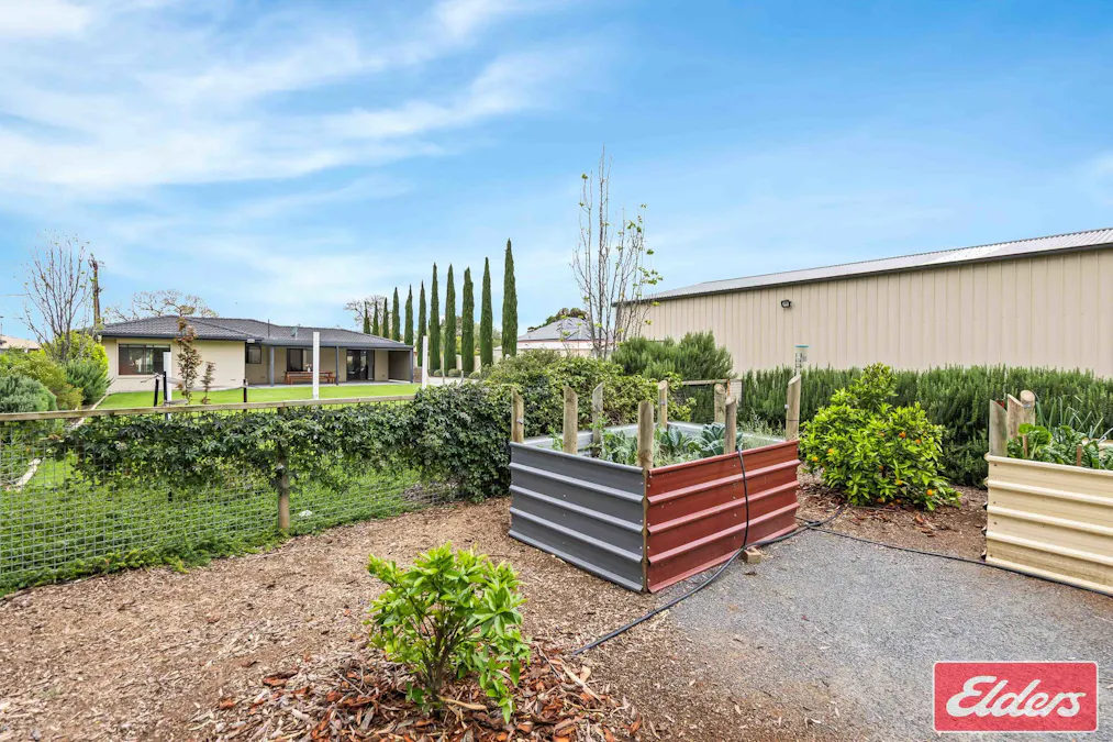 41 Aerodrome Road, Mallala, SA, 5502 - Image 29