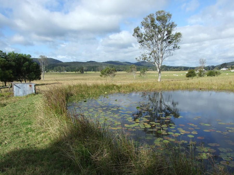Lot 21 Pacific Highway, Coolongolook, NSW, 2423 - Image 1