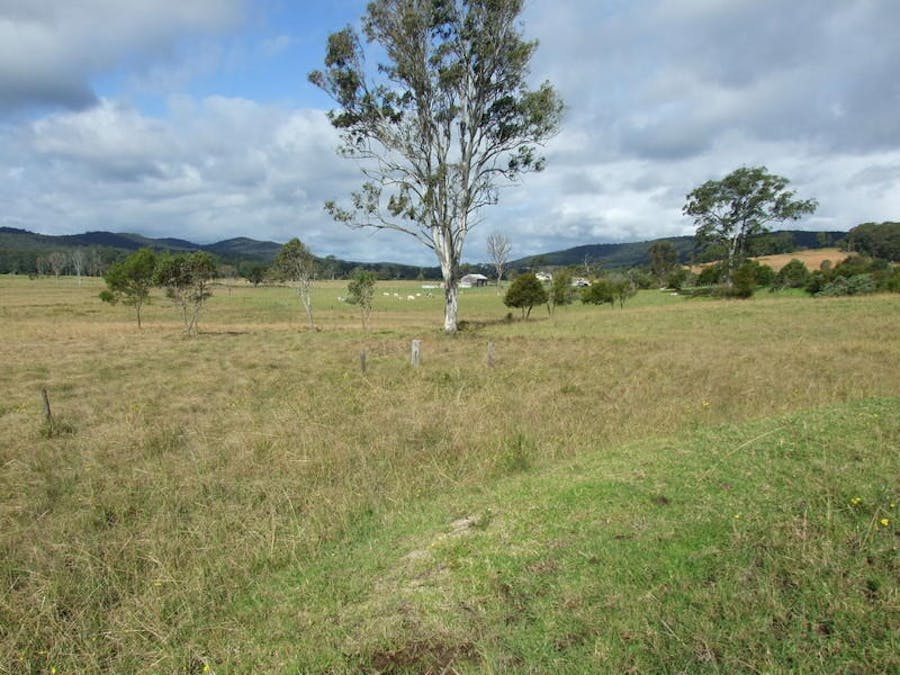 Lot 21 Pacific Highway, Coolongolook, NSW, 2423 - Image 4