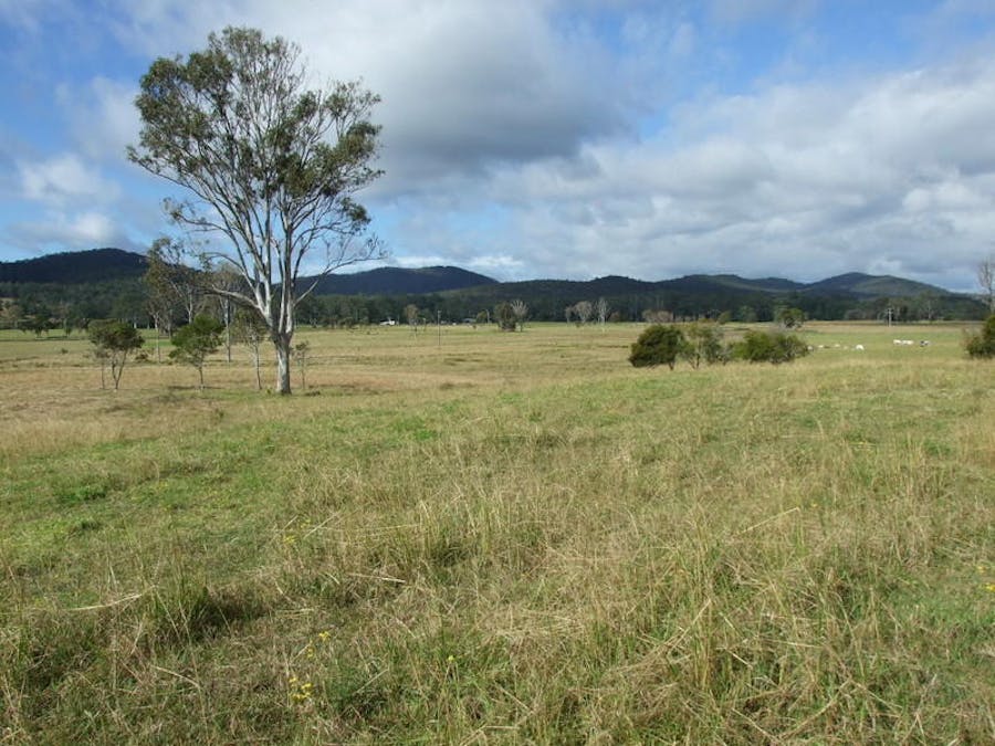 Lot 21 Pacific Highway, Coolongolook, NSW, 2423 - Image 5