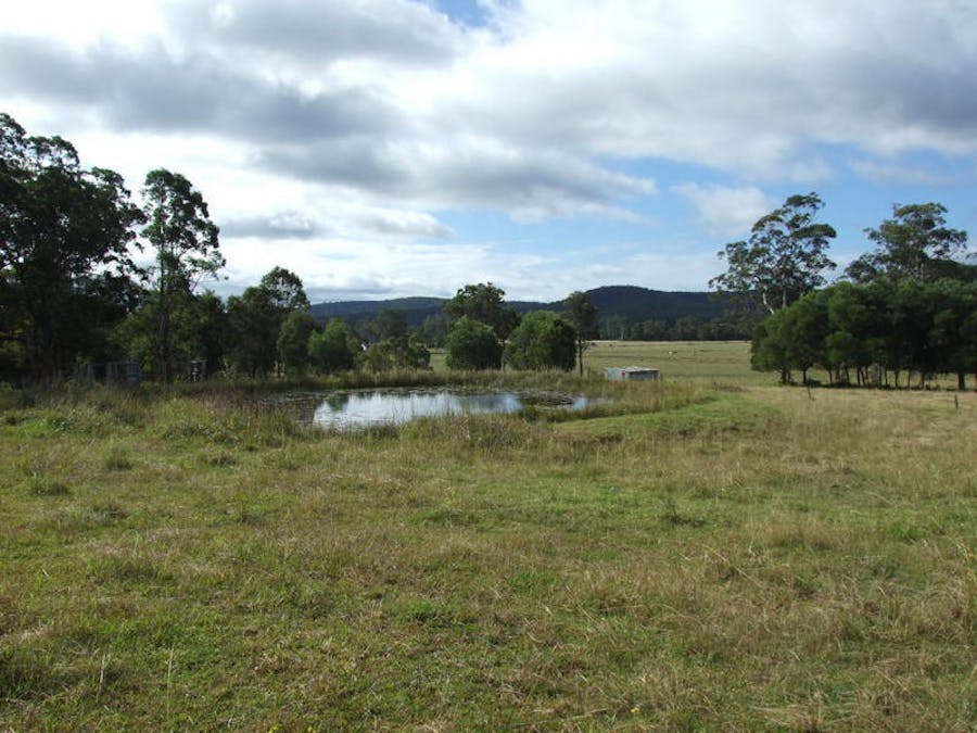 Lot 21 Pacific Highway, Coolongolook, NSW, 2423 - Image 6