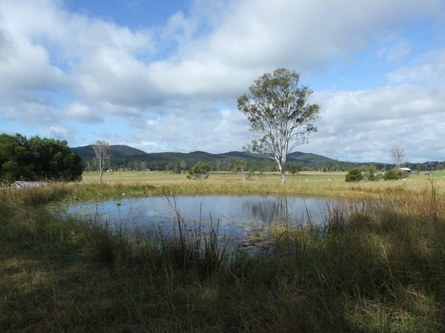 Lot 21 Pacific Highway, Coolongolook, NSW, 2423 - Image 7