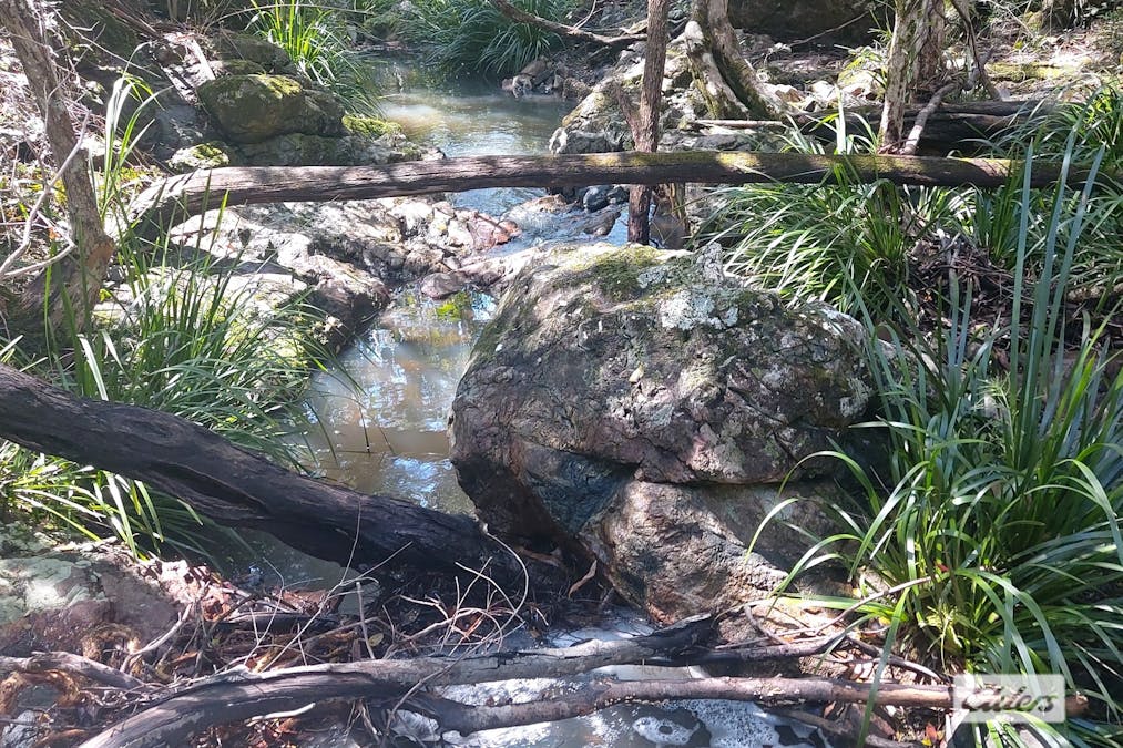 1854 Nowendoc Road , Mount George, NSW, 2424 - Image 23