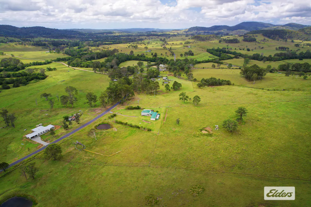 Level Lot 2/1283 Willina Road , Bunyah, NSW, 2429 - Image 25