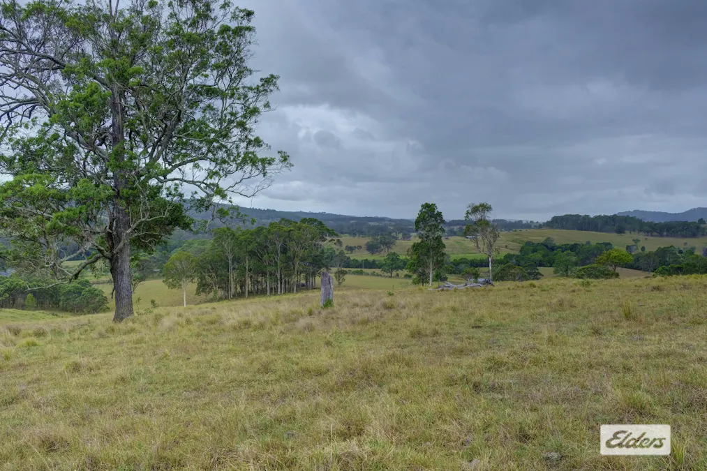 3/1283 Willina Road , Bunyah, NSW, 2429 - Image 2