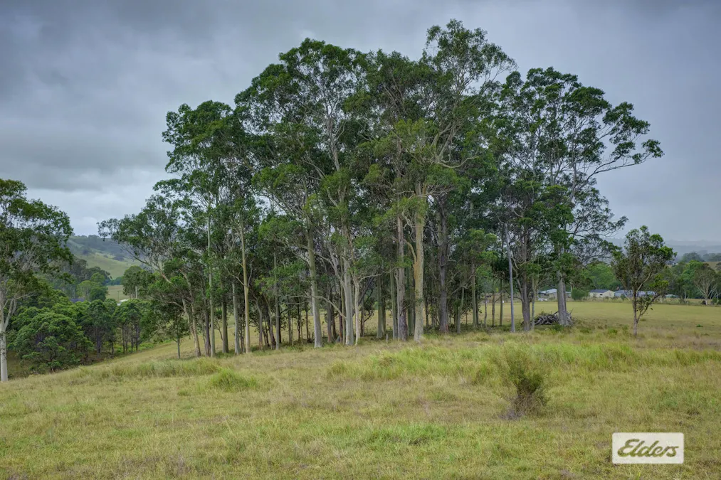 3/1283 Willina Road , Bunyah, NSW, 2429 - Image 4